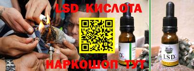 ешки Сланцы