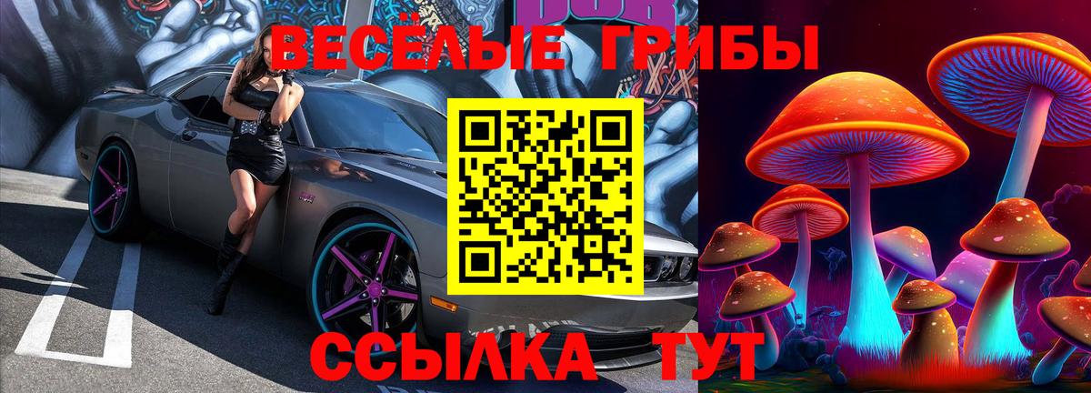 Галлюциногенные грибы GOLDEN TEACHER Сосновоборск